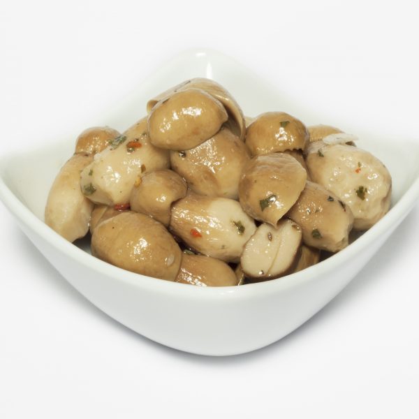 Funghi porcini